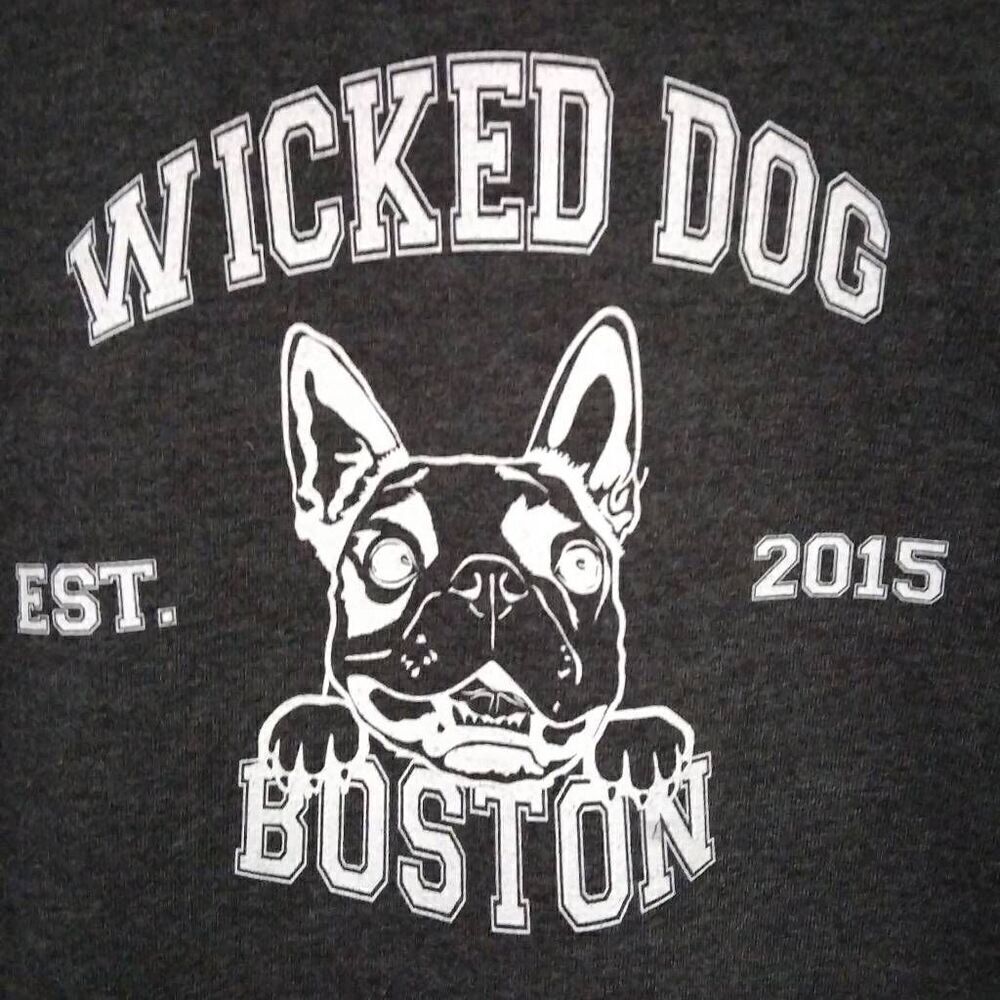 Wicked Dog Hoodie, Youth, Large, Grey, NWT